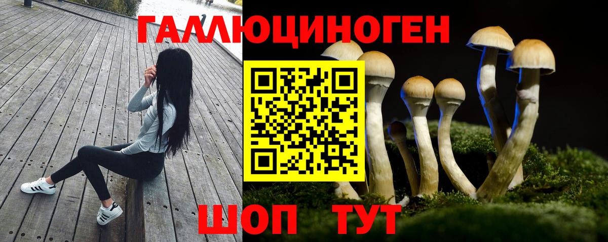 Галлюциногенные грибы MAGIC MUSHROOMS  Вход с VPN  Коряжма  Псилоцибиновые грибы мицелий 
